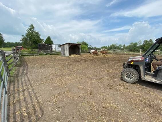 Stillbrook Riding Stables - Gallery