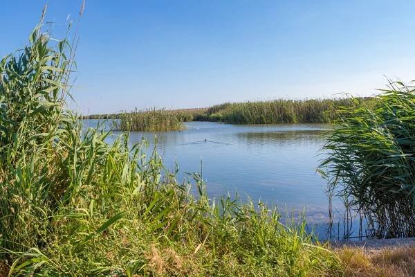 Nature park