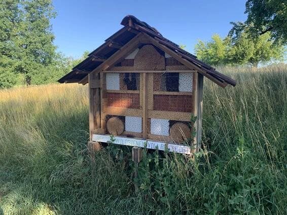 Nachhaltigkeit & Biodiversität – Golfhimmel