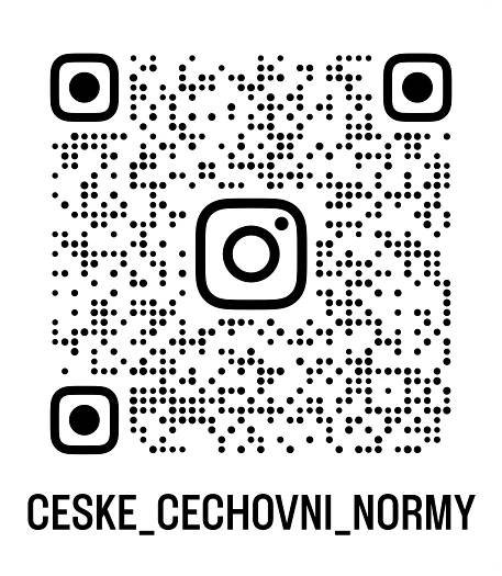 ceske cechovni normy qr 1