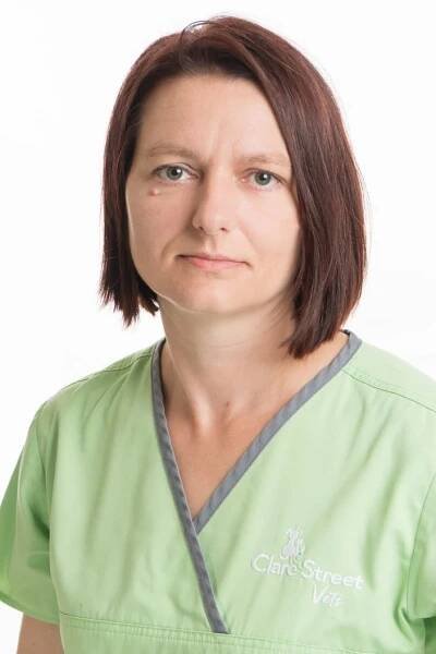 FIRE SAFETY AND PETS – Rockhall Vets