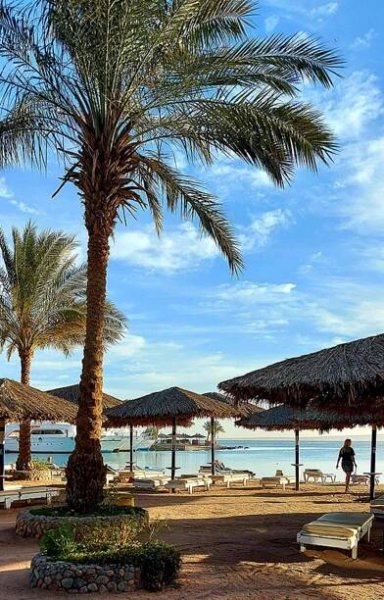Hotel Zya Regina Resort, Egypt Hurghada - 7 890 Kč Invia
