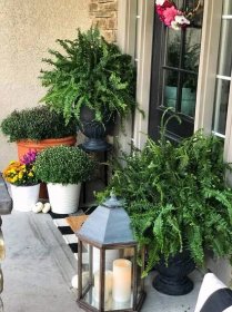 2024 Porch Landscaping Ideas: Enhance Your Home With Vibrant Flowers
