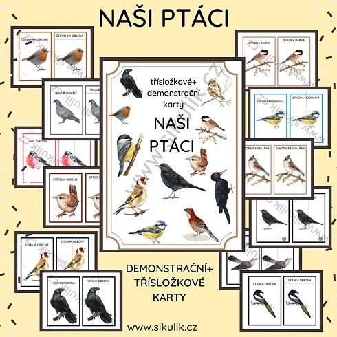 NAŠI PTÁCI třísložkové+ demonstrační karty