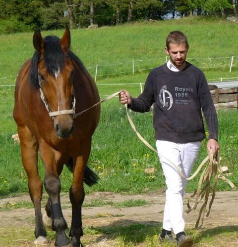 FOTO MIX | STÁJ FAUNUS 
