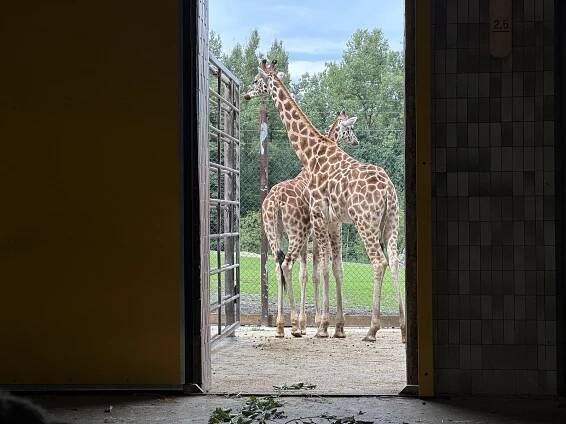 Tvoří skoro polovinu návštěvnosti. Do ostravské zoo míří tisíce Poláků
