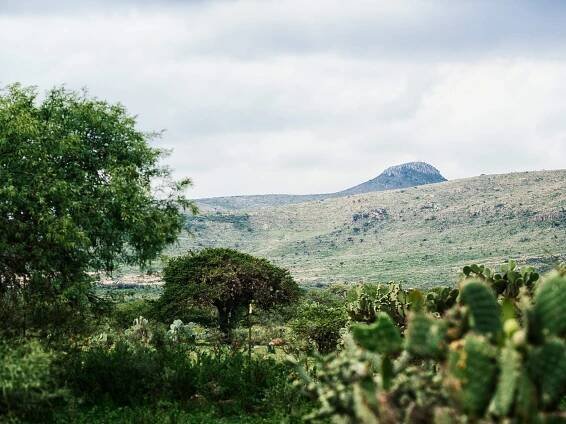 MEXICO: Paving the way for a large-scale solution to mitigate an aquifer’s deficit - Livelihoods Funds