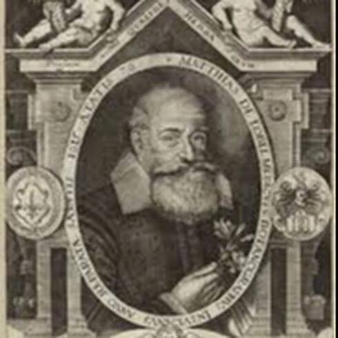 Mathias de l'Obel: The Flemish Botanist Who Distinguished Monocots and Dicots