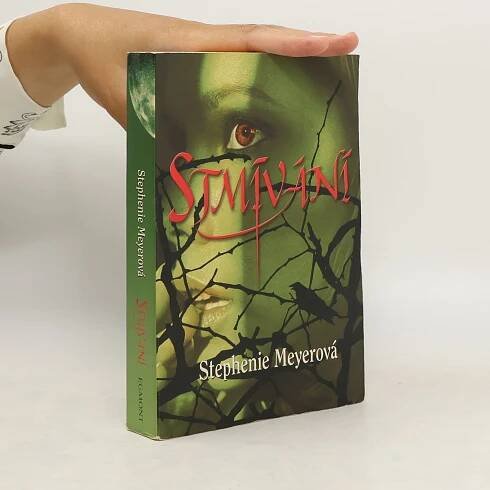 Stmívání