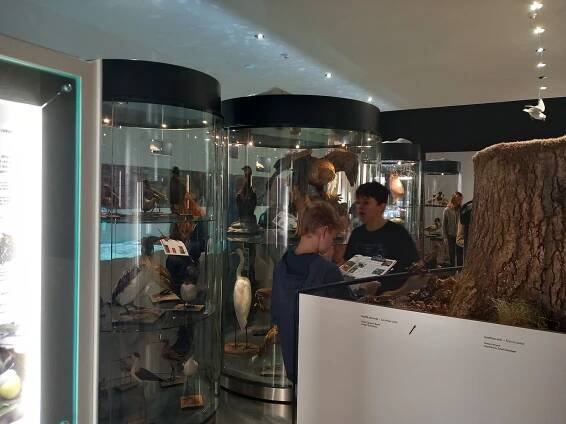 Exkurze Jihočeské muzeum | ZŠ Povážská Strakonice