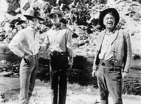 Don Murray