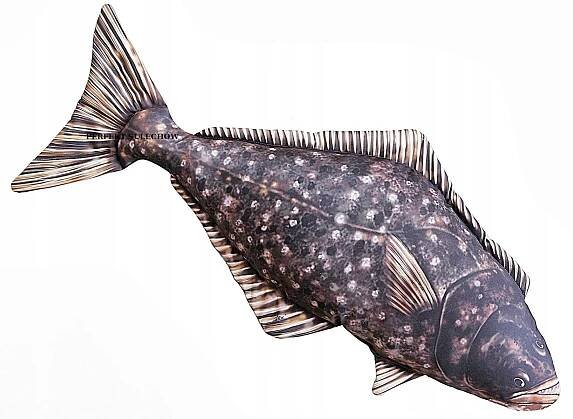 Gaby Halibut polštář 72 cm