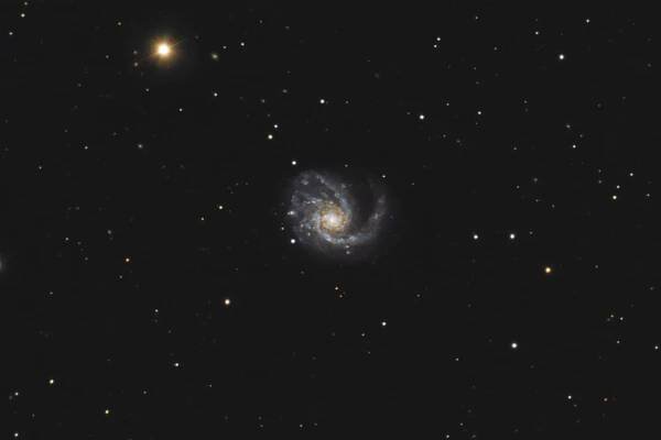 messier 99,m99,m99 galaxy
