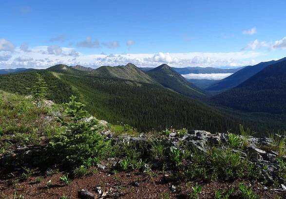 Whitefish Range, Flathead National Forest