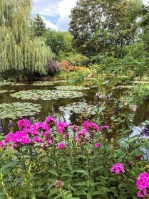 waterlilies in giverny