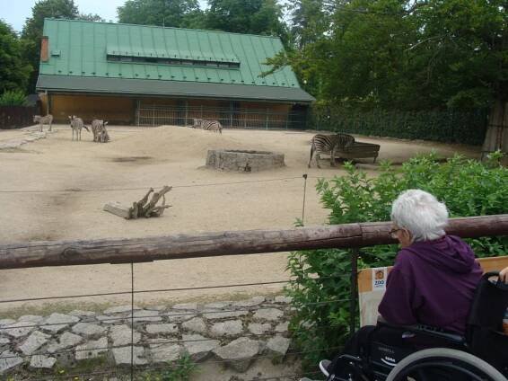 Zoologická zahrada Liberec - červenec 2018 - Domov důchodců Sloup v Čechách, p.o.