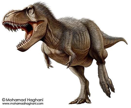 Haghani | Paleoart