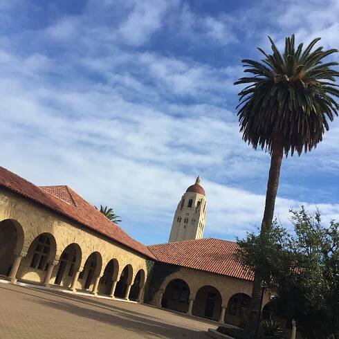 Palo Alto article