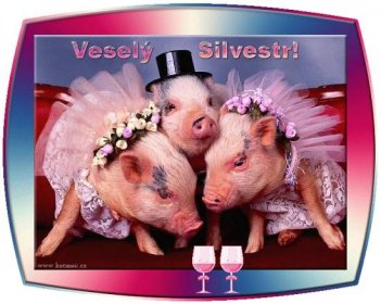two pigs dressed up in pink tutus and hats