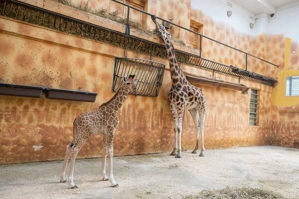 ZOO Olomouc | Česká zoo z.s.