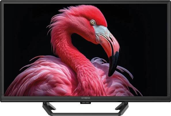 STRONG 24" LED (SRT24HG4723C) od 3 694 Kč