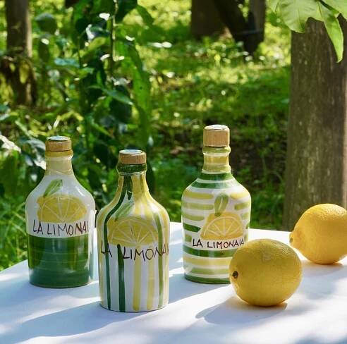 Tour of Lemons in Sorrento - Tour of the citrus grove by La limonaia Sorrento