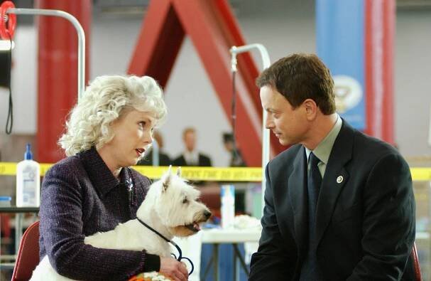 Kriminálka New York - Recyklace - Z filmu - Julia Duffy, Gary Sinise