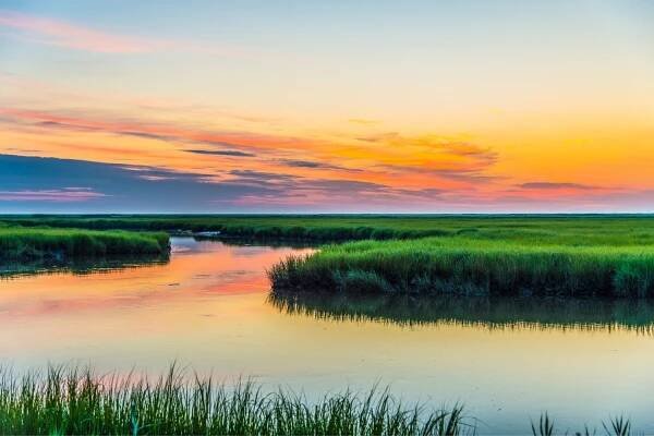 Hidden-Coastal-Marshes-Of-Delaware8217s-Bombay-Hook
