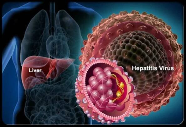 GDMEDS Guidelines for Hepatitis C Treatment - GDMedz