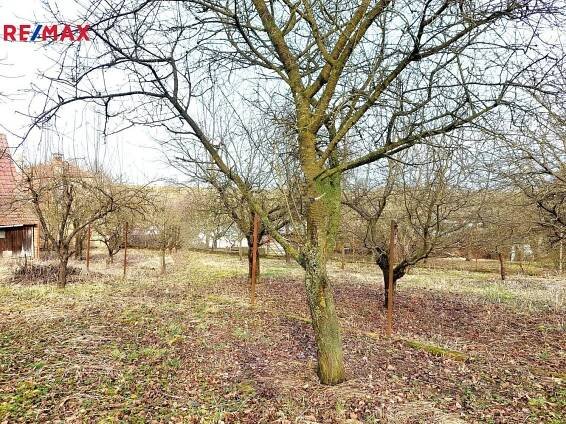 Prodej Dům, Mladoňovice, okres Třebíč
