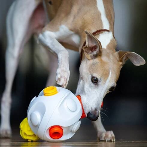 Kibble Connector - Dog Food Dispenser – k9connectables.com
