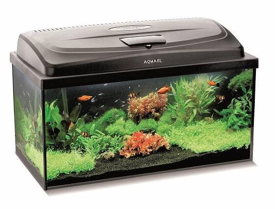 Aquael Classic Box 60 D&N 54 l
