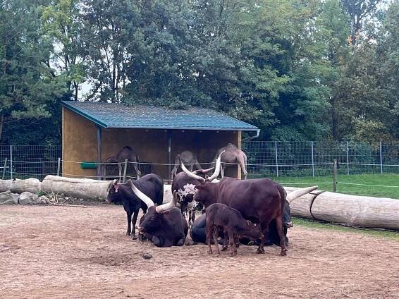 Zoopark Vyškov – Matty na tahu