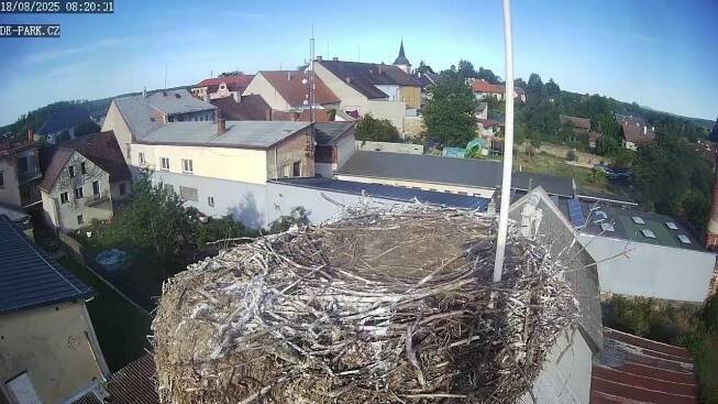 Čápi z komína firmy de-park v Miletíně – živé vysílání