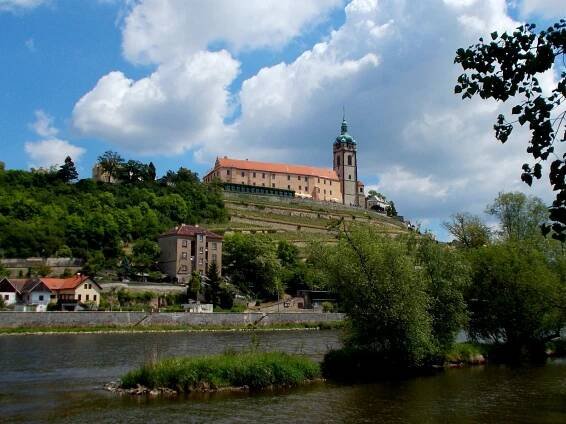tak trochu vyzobaná slunečnice: vybrané téma Ludmila