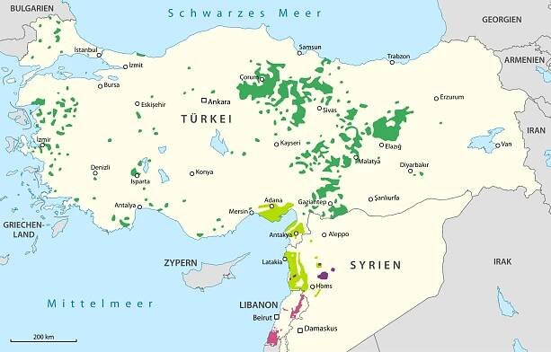Datei:Karte Schiitische Gruppen in der Türkei, in Syrien und im Libanon.svg