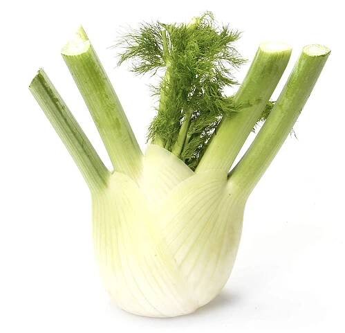 Whole Foods Market + Organic Fennel Bulb, 1 Each