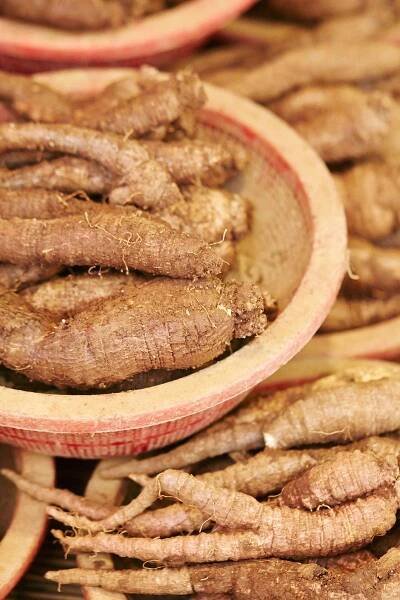 Best Korean Red Ginseng To Boost Your Overall Health