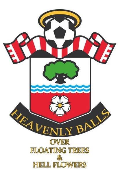 SOUTHAMPTON | If Premier League Team Names Were Based On Their Logos Southampton Wallpaper, Football Club Logos, Football Club Logo, Southampton England, Crystal Palace Fc, British Football, Champions League Football, Logo Football, Southampton Fc