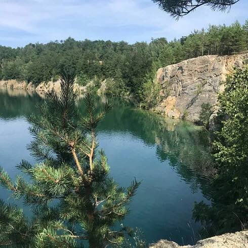 Umělý biotop v Mašovicích si oblíbili potápěči, plavci, ale i čolci a užovky