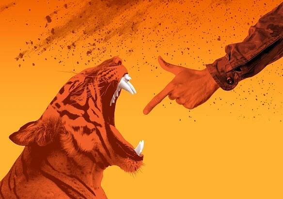 Bengal Tiger at the Baghdad Zoo, Young Vic: David Threlfall stars as in this dark comedy