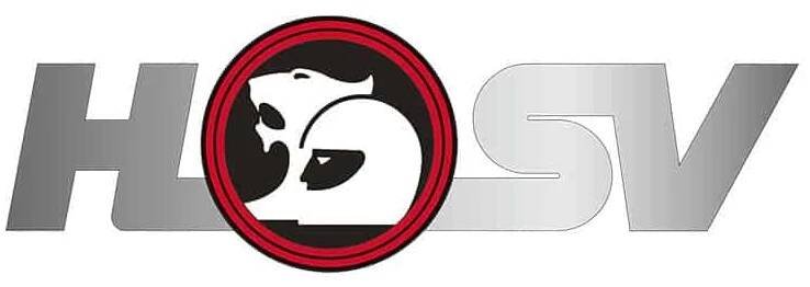 HSV-logo