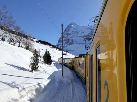 Wengernalpbahn (WAB)