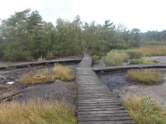 Český Yellowstone: Působivá flora a fauna, a bahenní sopky