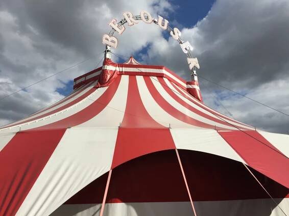 GALERIE | Cirkus Berousek