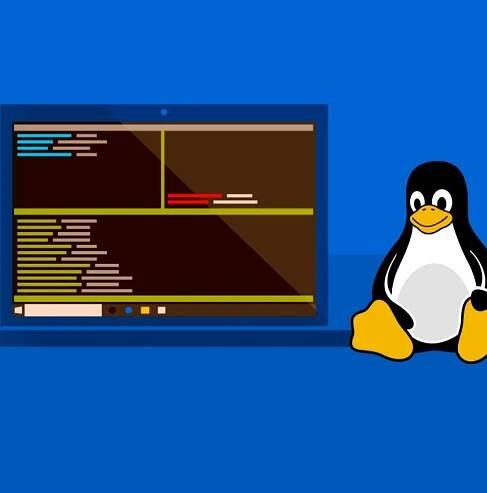 Microsoft is bringing Linux GUI apps to Windows 10