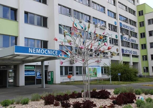 Českolipská nemocnice se snaží dohnat skluz způsobený covidem, zatím se jí to nepodařilo