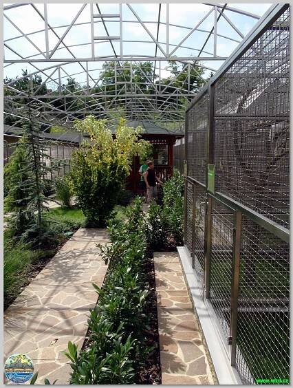 Papouščí zoo Bošovice