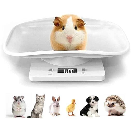 Digitální váha pro domácí mazlíčky/ do 15 kg/ LCD diplej/ Od 1Kč |368| - Nářadí