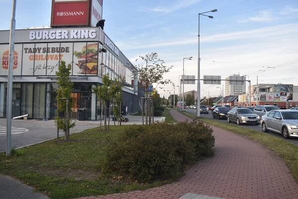První burgery zdarma, v Hradci Králové se otevře první Burger King